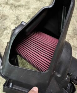 Mustang Cold Air Intake